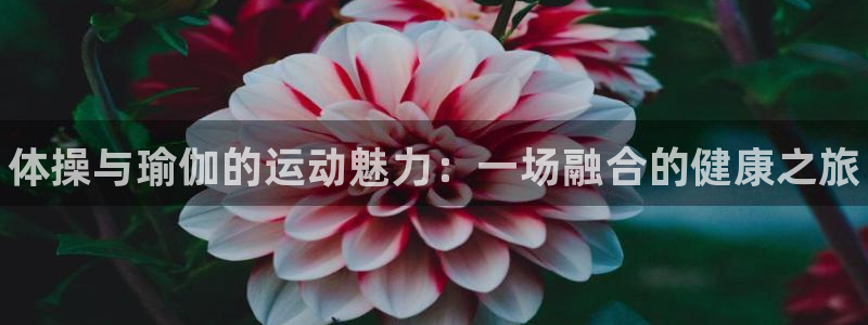 凯发官方正版app娱乐首页网站大全：体操与瑜伽的运动