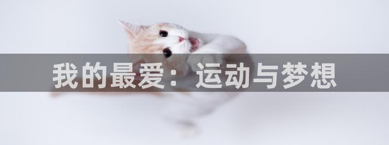 凯发官网下载平台注册要钱吗安全吗：我的最爱：运动与梦