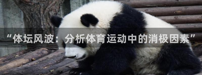 凯发官方正版app集团简介：“体坛风波：分析体育运动