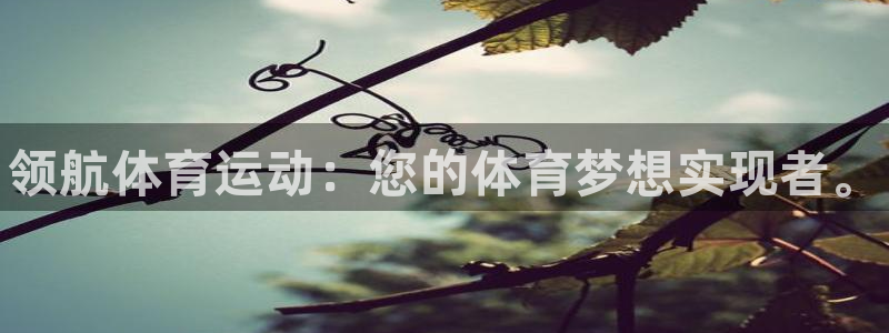 凯发官网下载招商电话号码