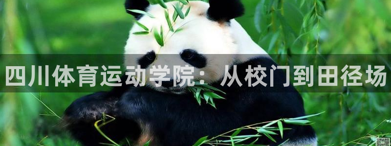 凯发官网下载招商电话是多少