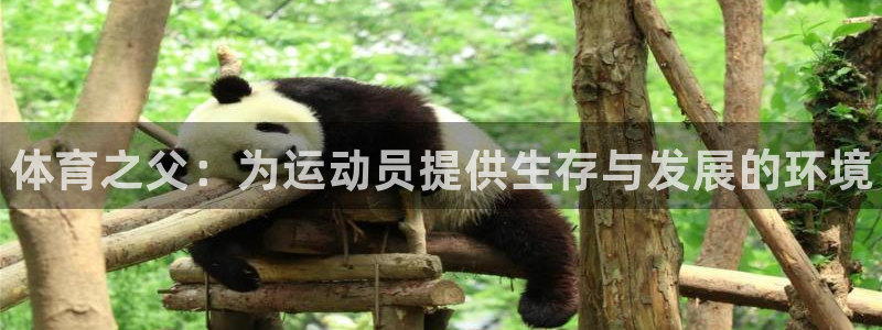 凯发官网下载招商电话