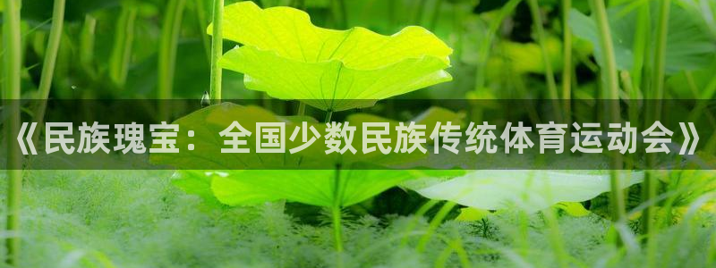 凯发官网下载招商电话是多少号码：《民族瑰宝：全国少数