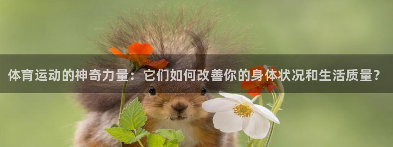 凯发官方正版app集团E.ON：体育运动的神奇力量：它们如何
