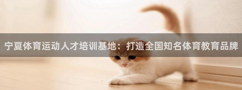凯发官网下载注册：宁夏体育运动人才培训基地：打造全国知名体育