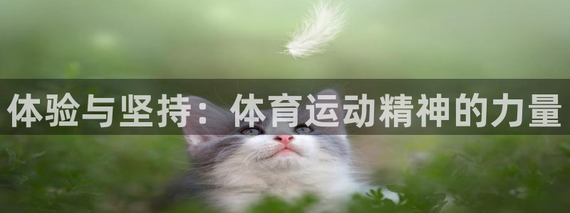 凯发官网下载招商电话地址：体验与坚持：体育运动精神的