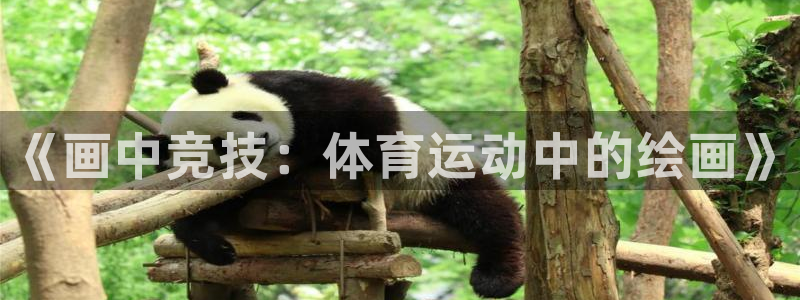 凯发官方正版app娱乐下载：《画中竞技：体育运动中的