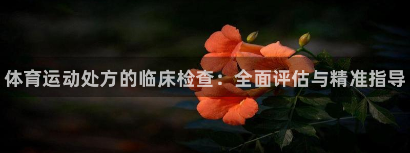 凯发官网下载平台假的吗是真的吗吗：体育运动处方的临床