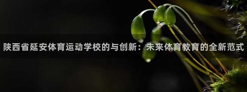 凯发官网下载招商电话号码是多少：陕西省延安体育运动学
