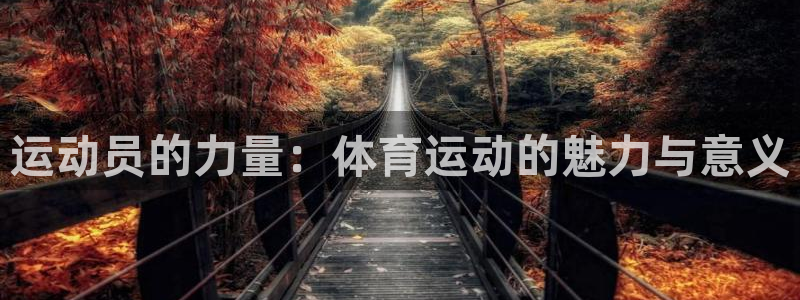 凯发官方正版app官方：运动员的力量：体育运动的魅力