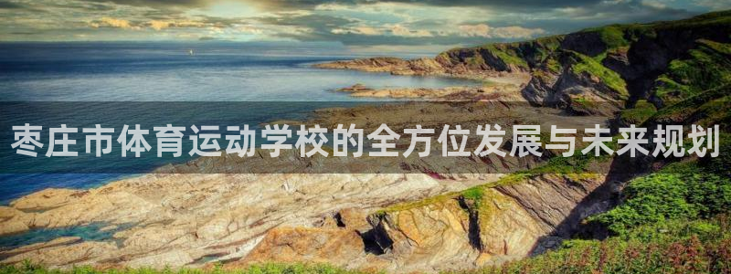 凯发官方正版app娱乐是那个系列的台子：枣庄市体育运