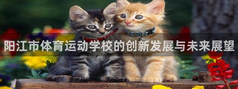 注册凯发官方正版app：阳江市体育运动学校的创新发展