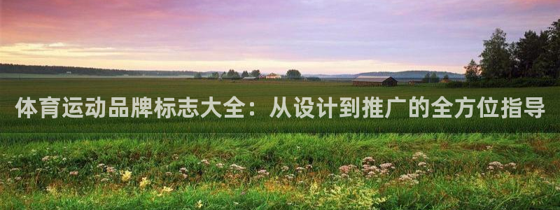 凯发官方正版app官网：体育运动品牌标志大全：从设计