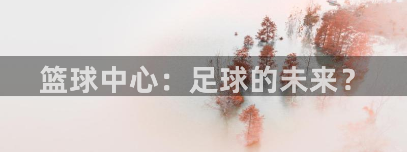 凯发官网下载招商电话是多少：篮球中心：足球的未来？