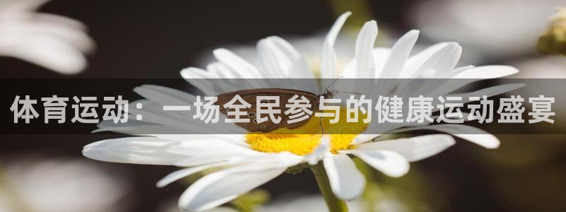 凯发官网下载平台注册要钱吗：体育运动：一场全民参与的