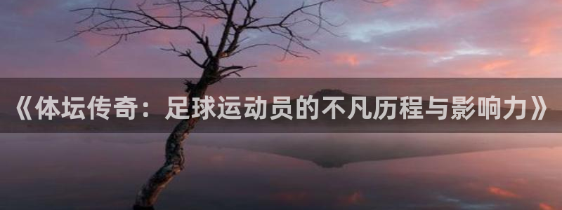 凯发官网下载招商电话号码查询：《体坛传奇：足球运动员