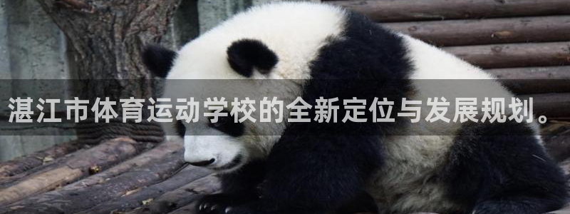 凯发官方正版app代理：湛江市体育运动学校的全新定位