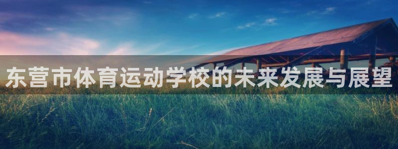 凯发官方正版app集团：东营市体育运动学校的未来发展