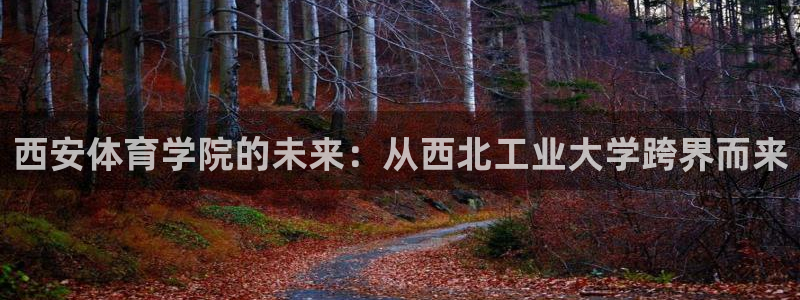 凯发官网下载是干嘛的公司：西安体育学院的未来：从西北工业大学