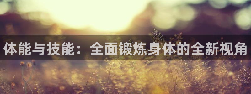 凯发官方正版app代理