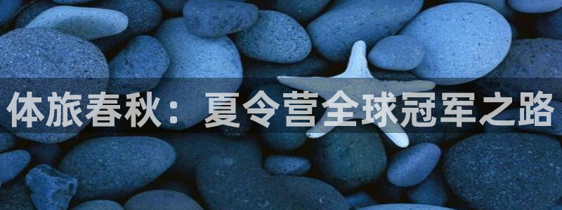 凯发官网下载平台注册流程视频